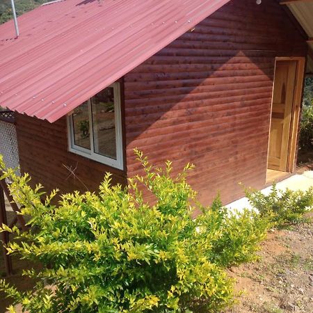 Mario'S Lodge Providencia Copey Экстерьер фото
