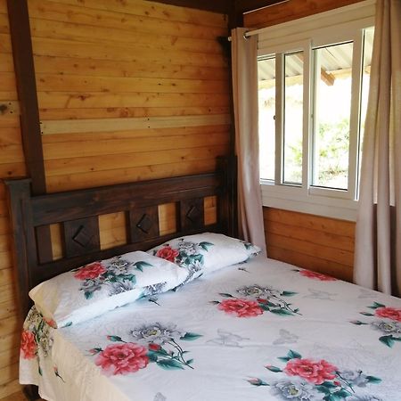 Mario'S Lodge Providencia Copey Экстерьер фото